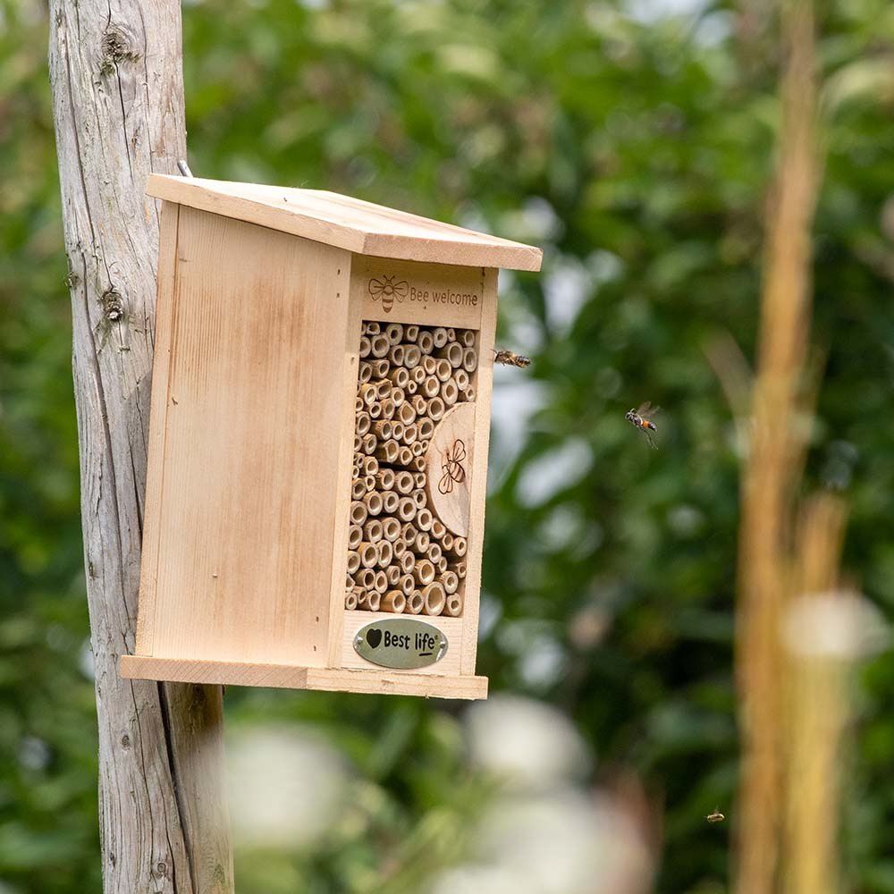 CJ Wildbird Foods Fenandina - Insectenhotel - Naturel
