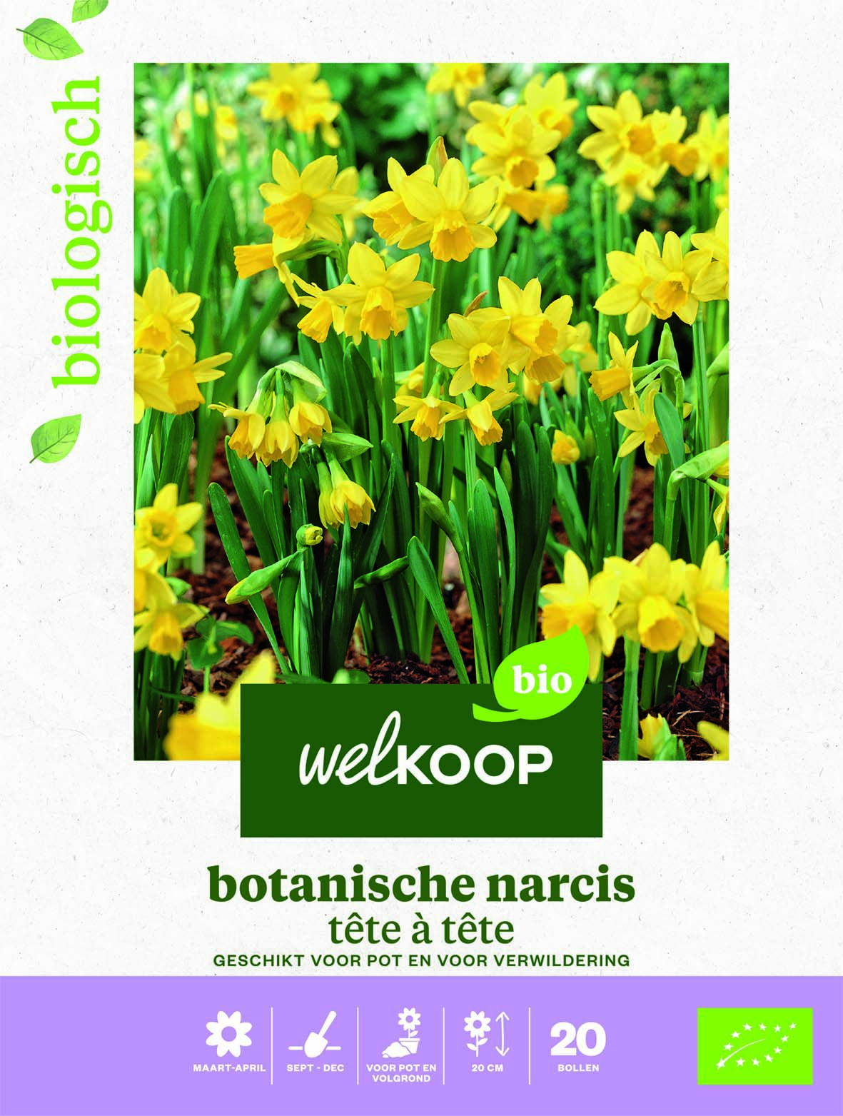Welkoop Narcis Biologisch Botanische mix - Bloembollen Welkoop Narcis Biologisch Botanische mix - Bloembollen