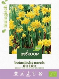 Welkoop Narcis Biologisch Botanische mix - Bloembollen