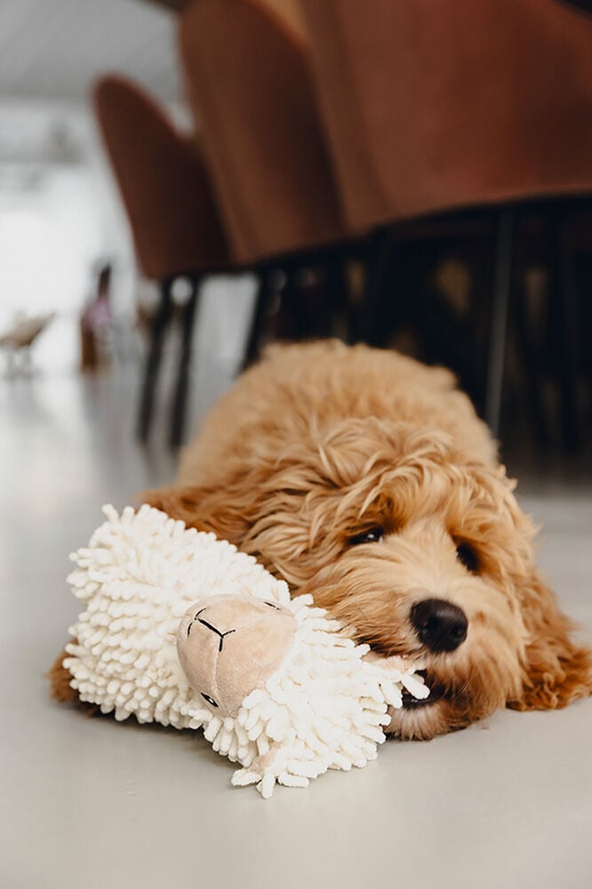 Beeztees Eco Schaap Jovi - Knuffel - Hondenspeelgoed - Beige - 32x18.5x11 cm