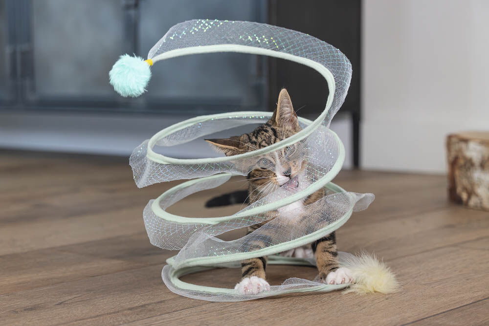 Beeztees Gabi - Katten Speelspiraal - Multi