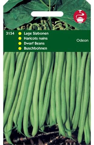 Hortitops Stamslabonen Phaseolus Vulgaris L. Odeon - Groentezaden