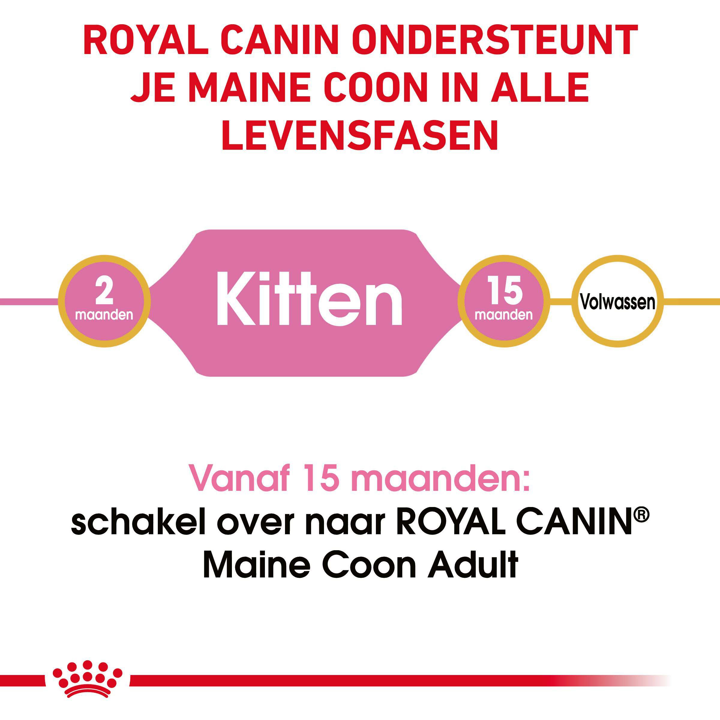 Royal Canin Maine Coon Kitten - Kattenvoer - 10 Kilogram - Gevogelte