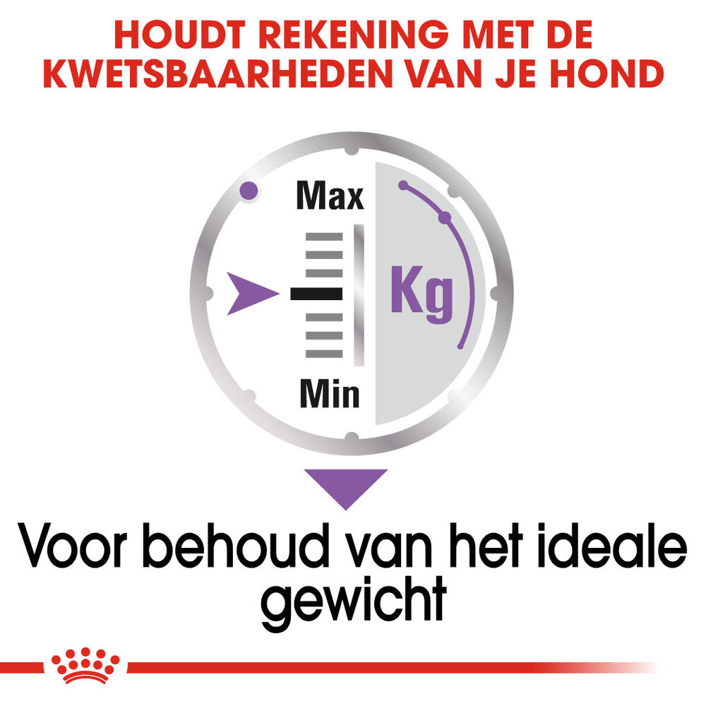 Royal Canin Sterilised Wet - Hondenvoer - 12x85 gram - 1020 Gram - gevogelte