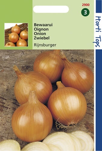 Hortitops Uien Allium cepa Rijnsburger, Bolronde Gele - Uien