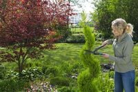 Gardena PrecisionCut - Hand heggenschaar