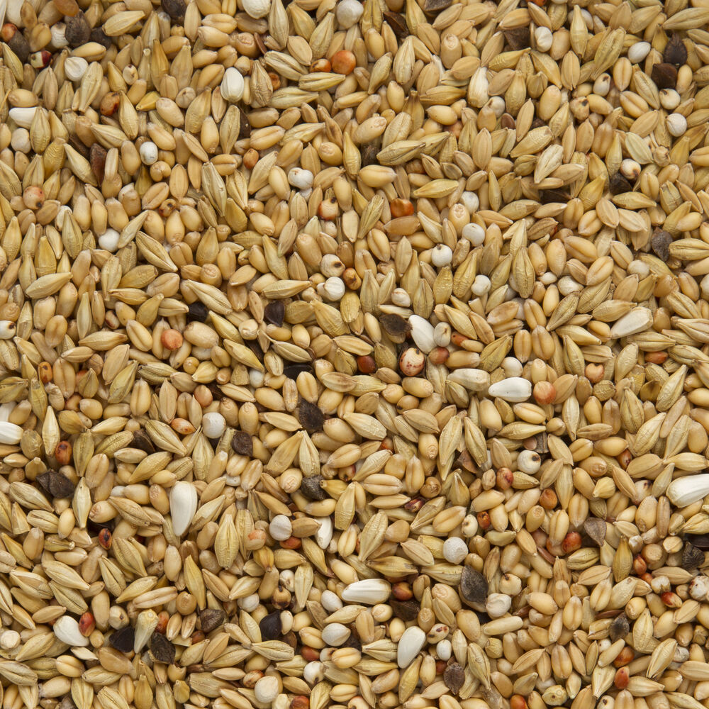 Beyers Original Super Zuivering - Duivenvoer - 25 Kilogram