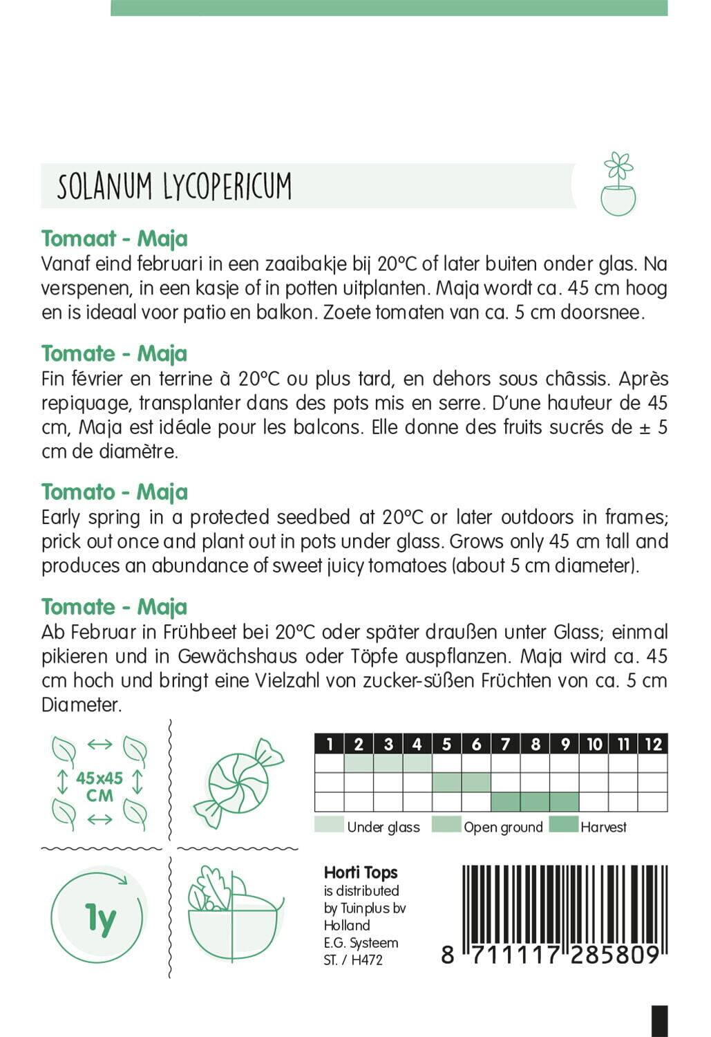 Hortitops Tomaten Solanum lycopersicum L. (syn L. esculentum) Maja -Balkontomaat Amateur Variety - Groentezaden