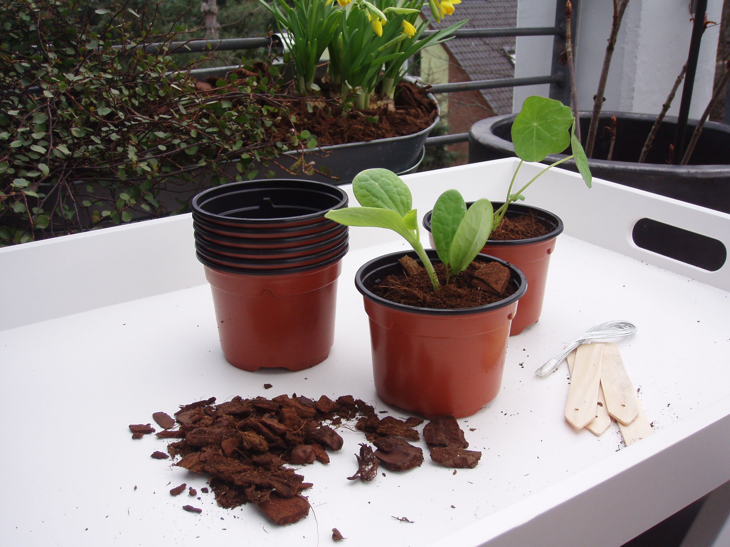 Nature Stekpotjes - Kweekbenodigdheden Nature Stekpotjes - Kweekbenodigdheden