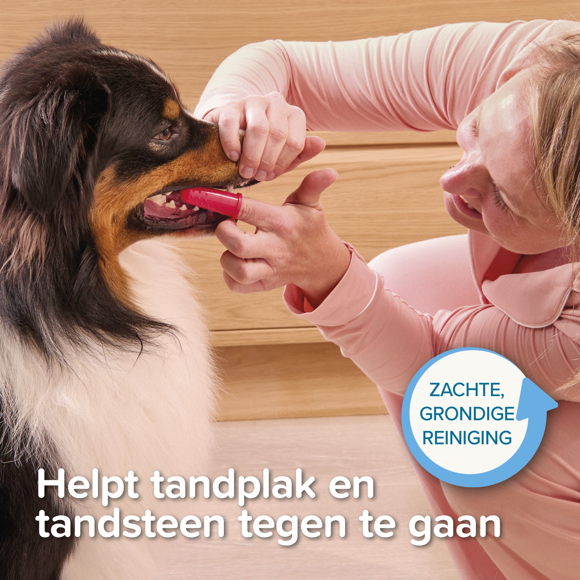 Beaphar Vingertandenborstel - Hond en Kat - 2 Stuks - Wit