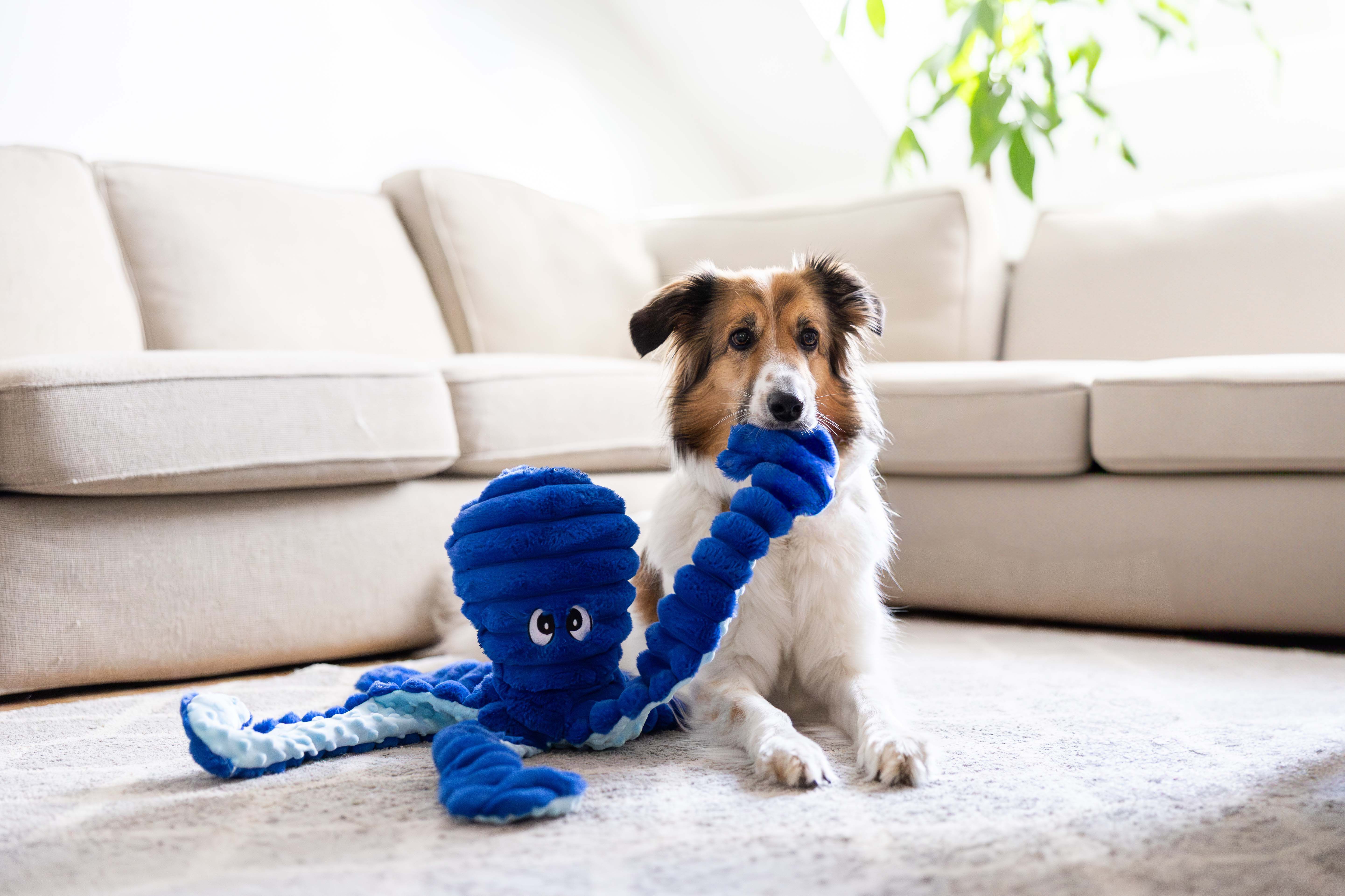 Quapas Octopus Knuffel - Hondenspeelgoed - Donkerblauw - 15x18x66 cm - XL