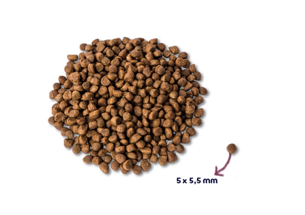 Renske Premium Senior - Kattenvoer - 6 Kilogram - eend, kip