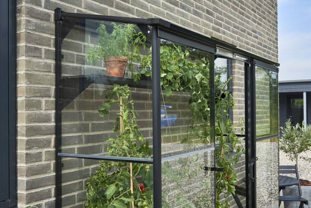 Halls Greenhouses QUBE LT 26 - Muurkas - Zwart - Veiligheidsglas