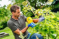 Gloria Fijnsproeier Hobby 10 Flex - Plantenspuiten