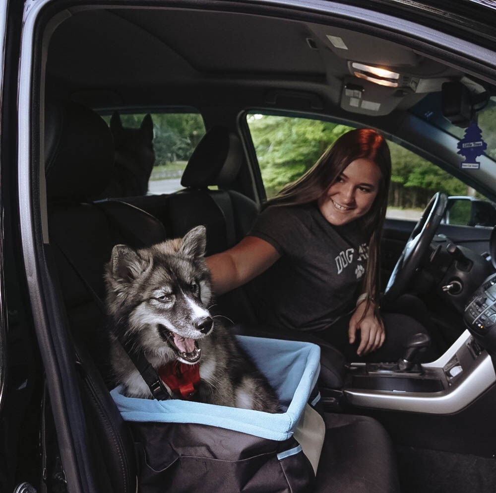 Kurgo Heather - Autostoel - Zwart, beige - 20x40x1 cm