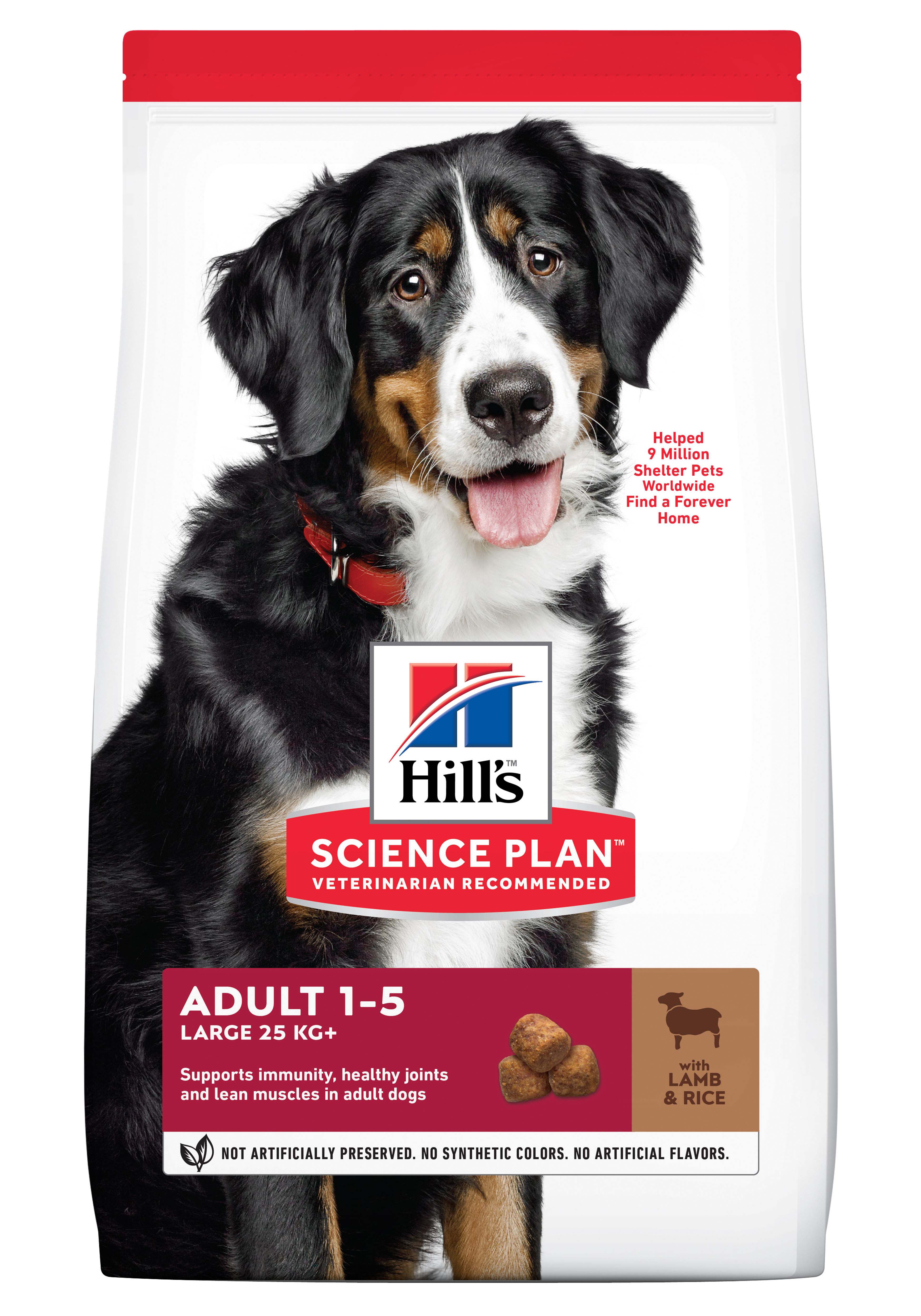 Hill’s Science Plan Adult Large Breed - Hondenvoer - 12 Kilogram - Lam & rijst Hill’s Science Plan Adult Large Breed - Hondenvoer - 12 Kilogram - Lam & rijst