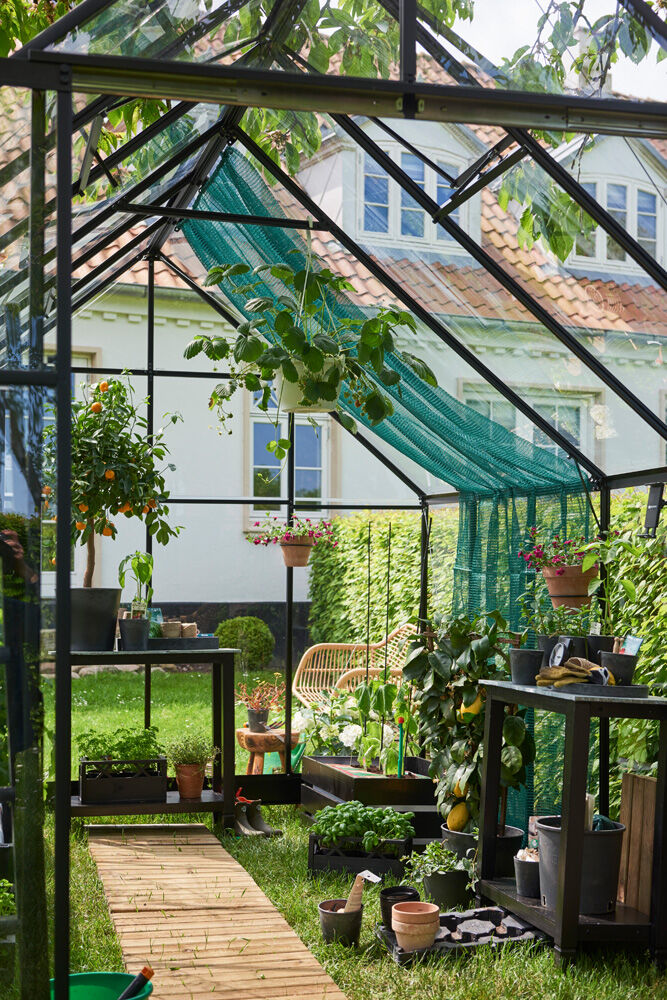 Halls Qube 812 - Tuinkas - zwart - 246x261x385 cm - Veiligheidsglas