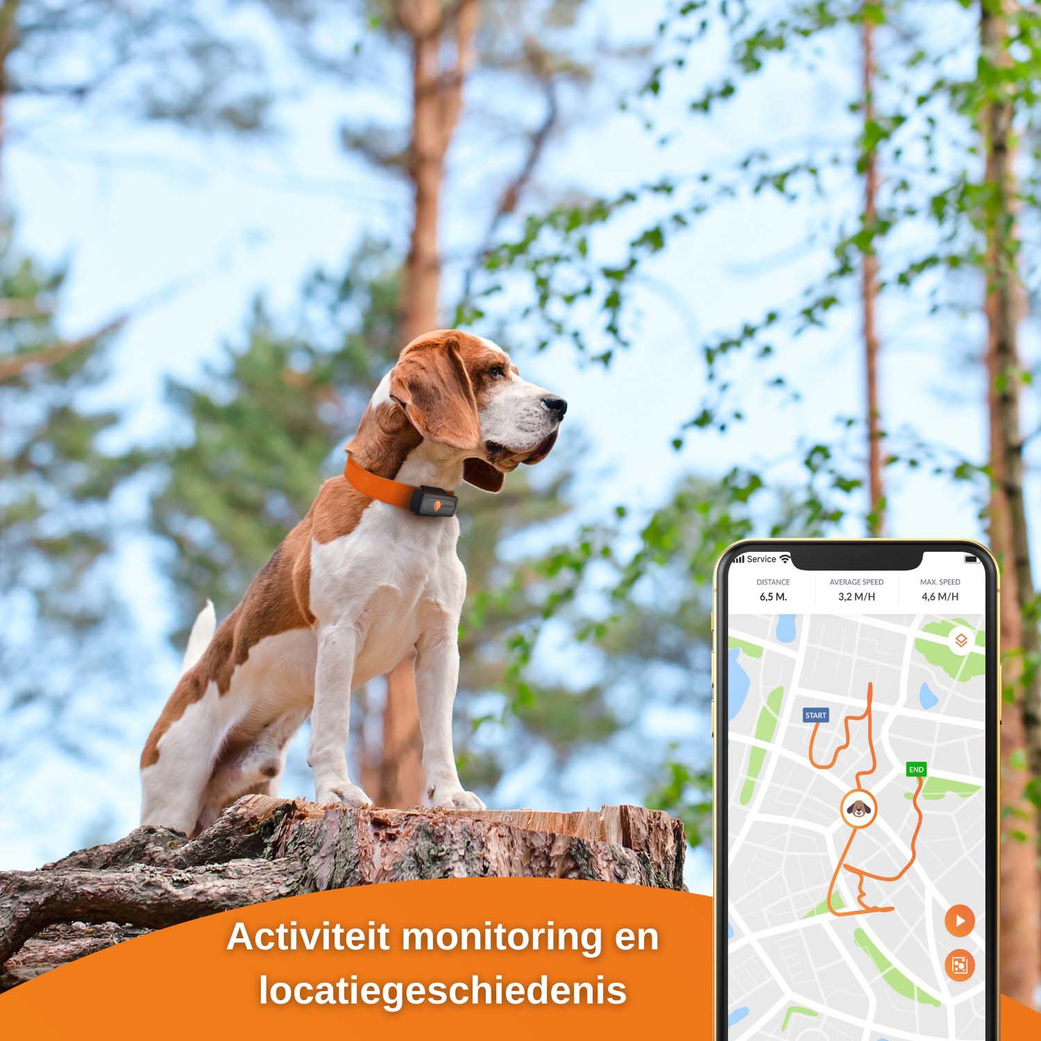 Weenect - GPS tracker Hond - zwart - XS