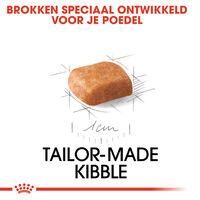 Royal Canin Poedel Junior - Hondenvoer - 3 Kilogram - gevogelte