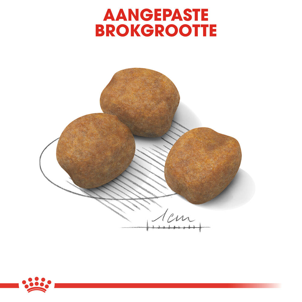 Royal Canin SHN Giant Puppy - Hondenvoer - 15 Kilogram - gevogelte