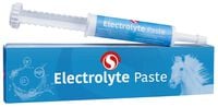 Sectolin Electrolyte Pasta - Vochtbalans supplement Paard - 30 Milliliter