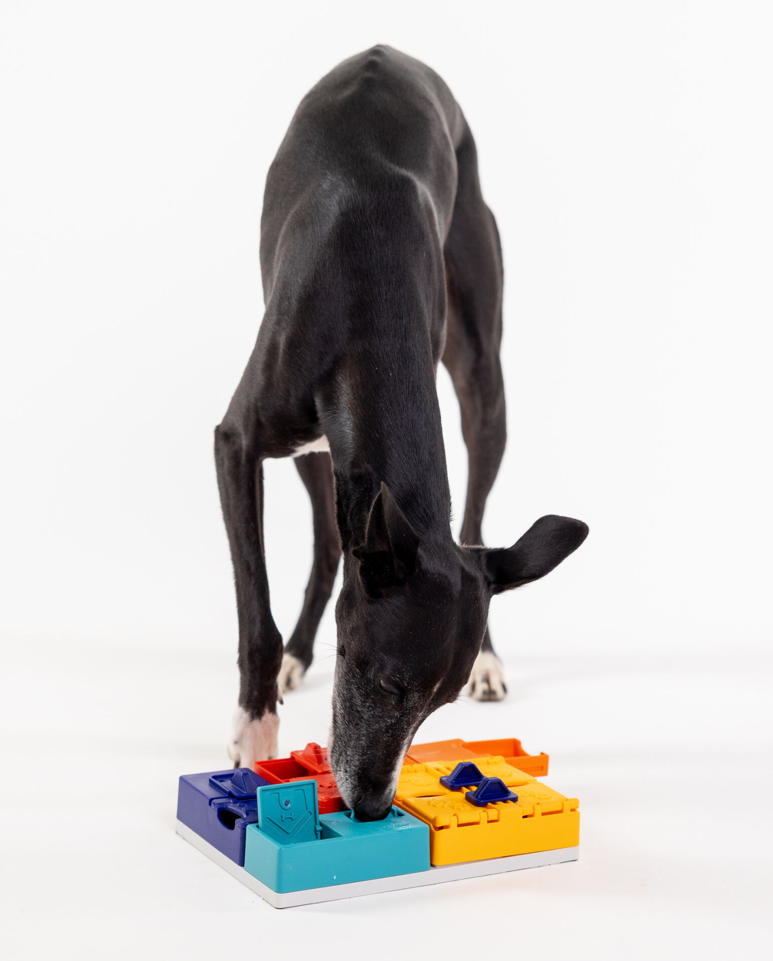 Pawzler Genius Set - Puzzel - Hondenspeelgoed - 6x18x36 cm