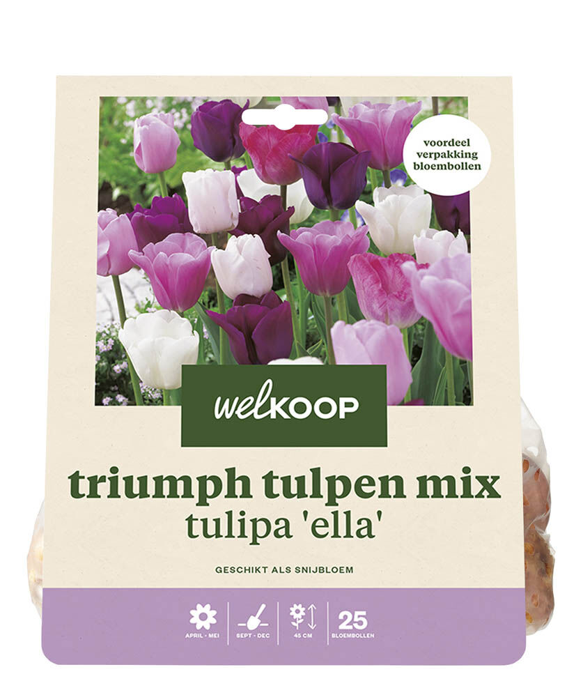 Welkoop Tulpen mix Elisha - Bloembollen