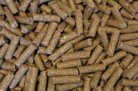 Voermeesters Basis - Basisvoeding - 20 Kilogram - Zak