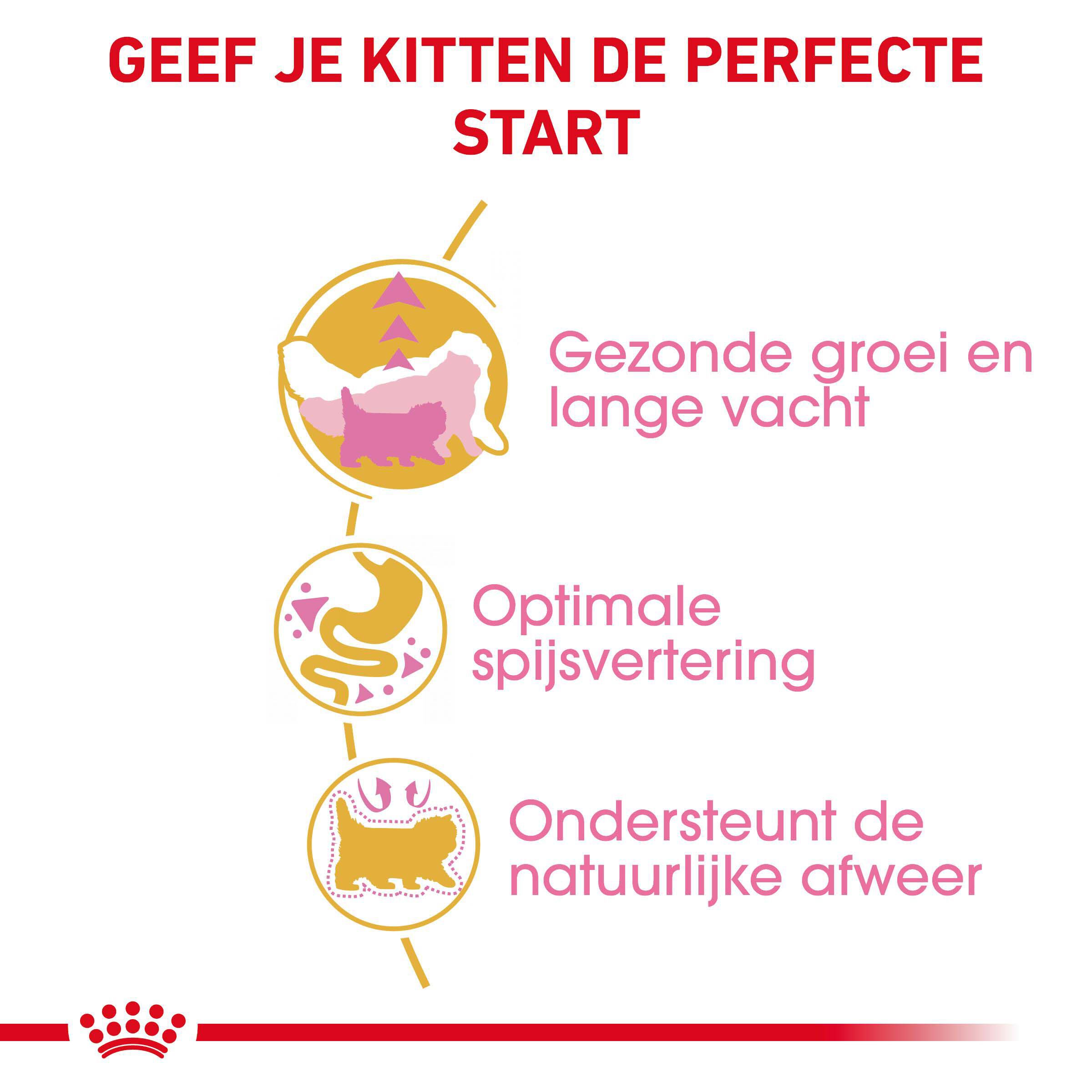 Royal Canin Persian Kitten - Kattenvoer - 4 Kilogram - Gevogelte