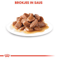 Royal Canin Instinctive in Gravy - Kattenvoer - 12x85 gram - 1020 Gram