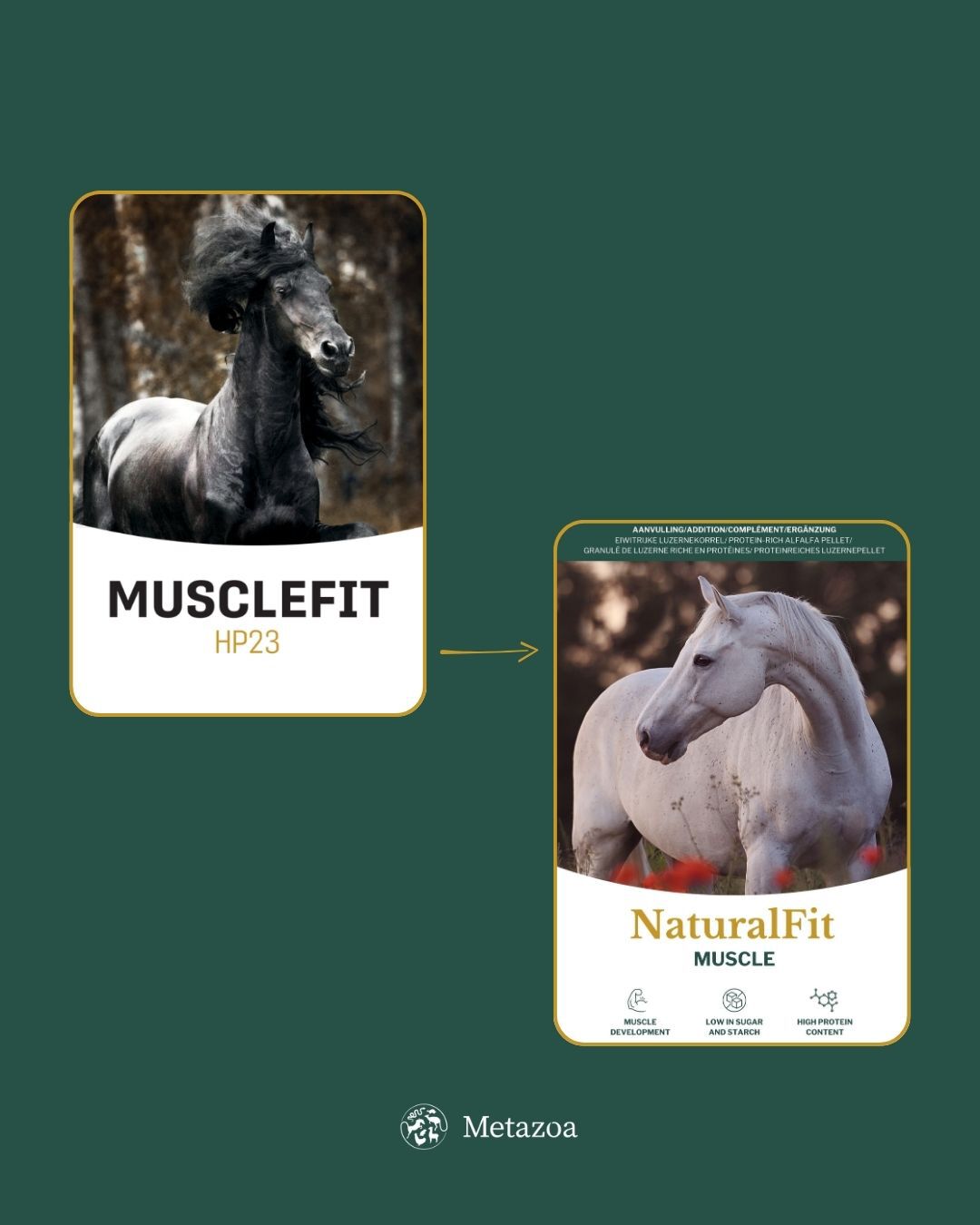 Metazoa Musclefit HP23 - Specialiteit - Paardenvoer - 20 Kilogram - Zak