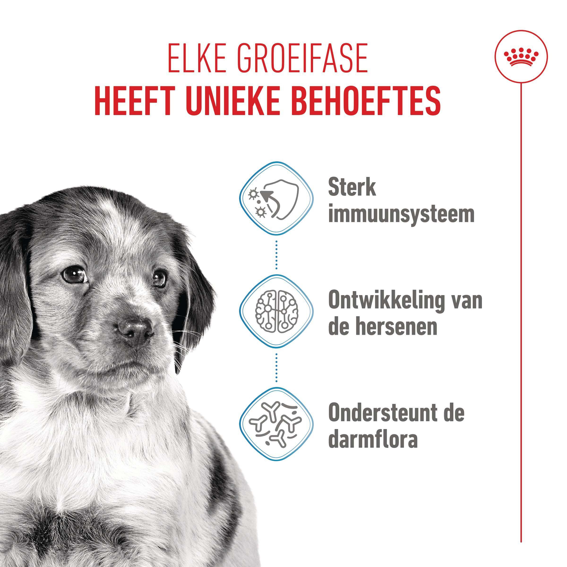 Royal Canin SHN Medium Puppy - Hondenvoer - 3 Kilogram - gevogelte