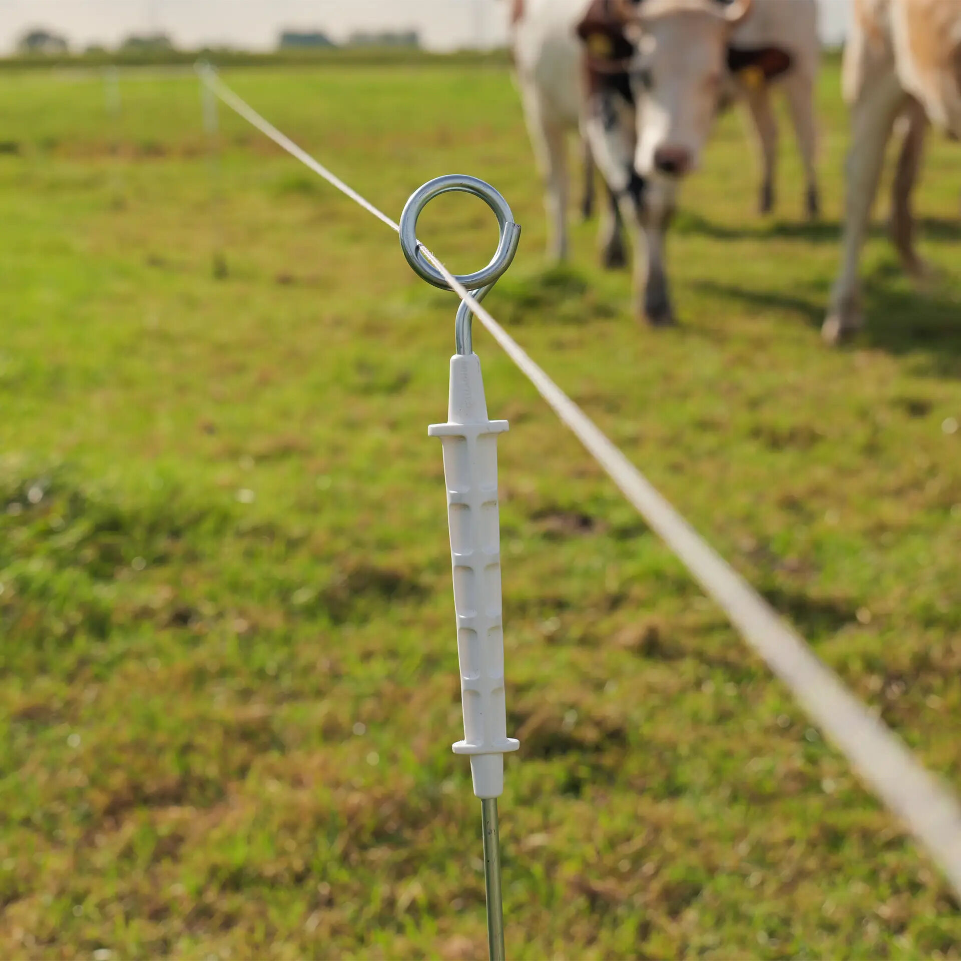 Gallagher - Geëlektrificeerde ring top paal  - Afrasteringspaal - 11 cm - 10 Stuks - 130 cm