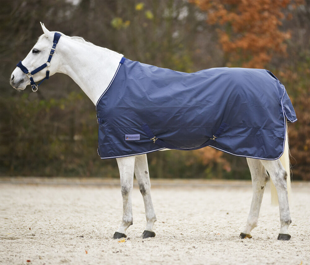 Waldhausen Economic - Regendeken Paard Waldhausen Economic - Regendeken Paard