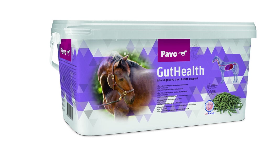 Pavo GutHealth - Supplement - 7.5 Kilogram - Emmer Pavo GutHealth - Supplement - 7.5 Kilogram - Emmer