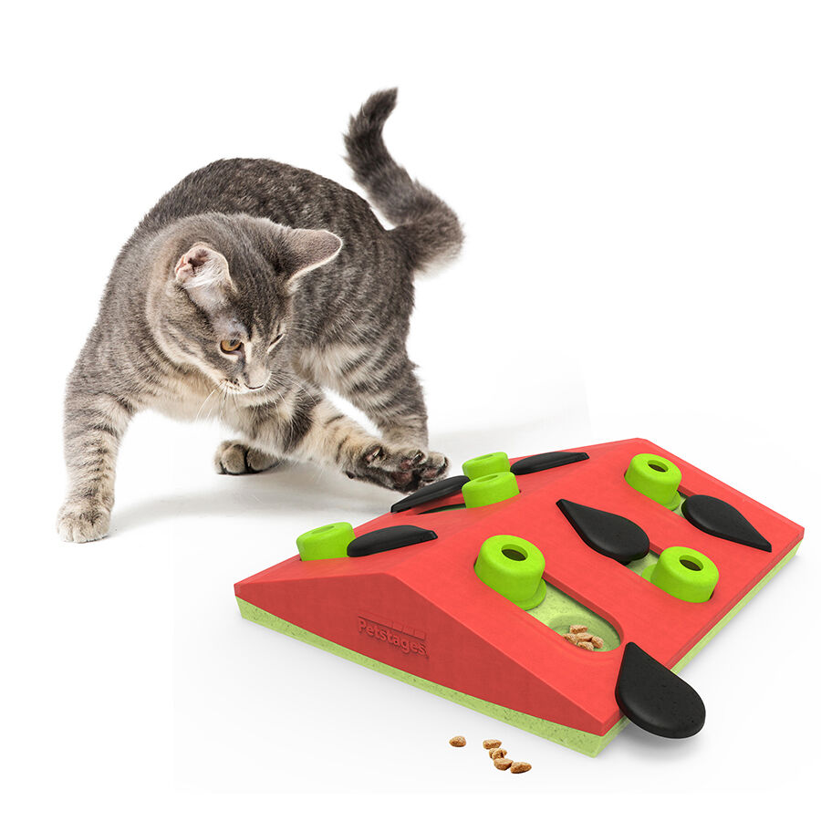 Nina Ottosson Puzzle & Play Melon Madness - Kattenspel