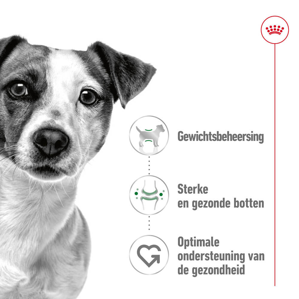 Royal Canin SHN Mini Adult - Hondenvoer - 195 Gram - gevogelte