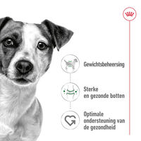 Royal Canin SHN Mini Adult - Hondenvoer - 195 Gram - gevogelte