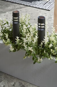 Luxform Tuinsteker Montelimar - Solar tuinverlichting - Black/Warm White - Warm wit - 39x6x6 cm