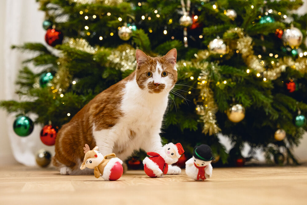 Beeztees Kerstwobbler - Kattenspeeltje