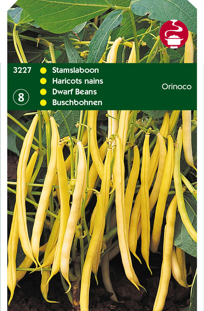 Hortitops Stamslabonen Orinoco - Groentezaden