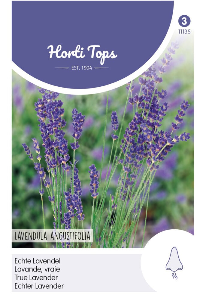 Hortitops Lavendel Lavandula angustifolia Lavandula Officinalis - Kruidenzaden