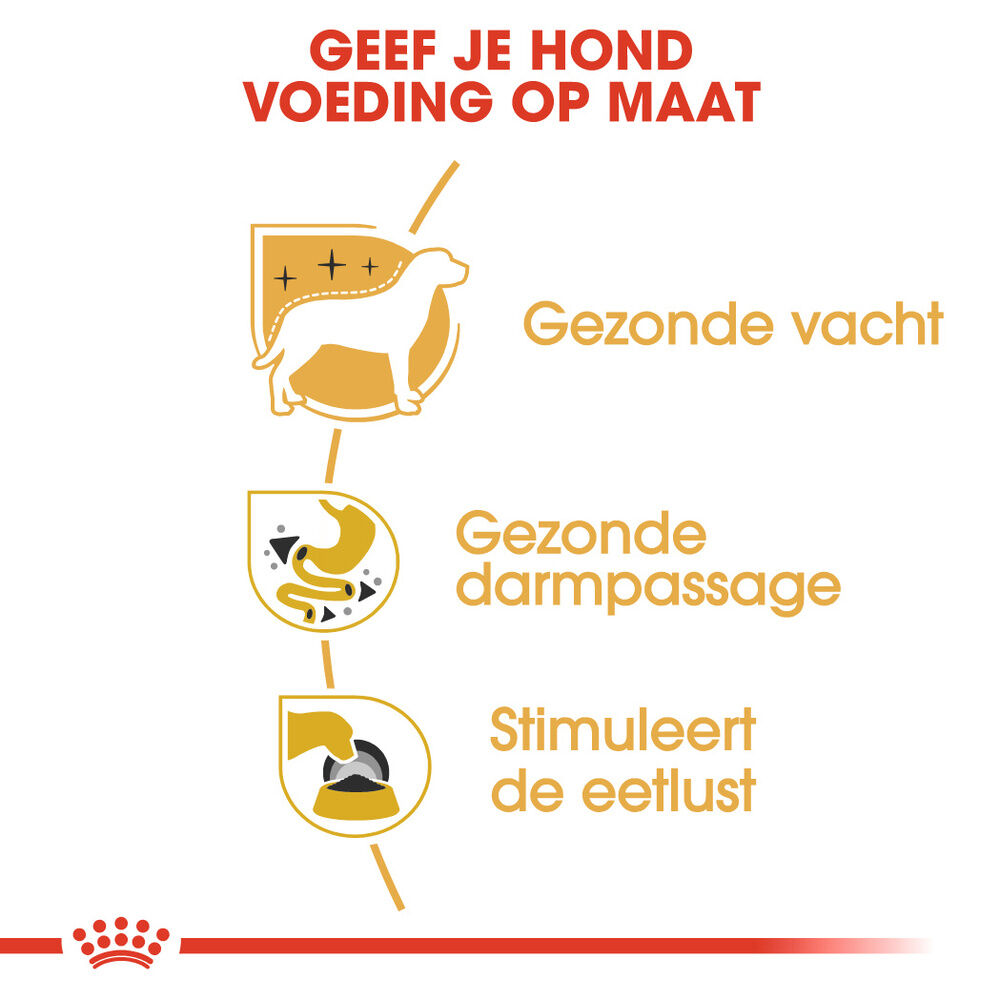 Royal Canin Chihuahua Adult Pouch  - Hondenvoer - 12x85 gram - 1020 Gram - gevogelte