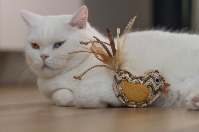 Beeztees Vogel Flity - Kattenspeeltje - Beige