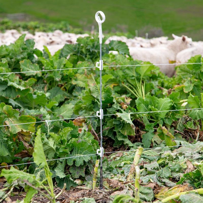 Gallagher Multidraad Top Ring - Afrasteringspaal - 109 cm - 10 Stuks - 10 cm