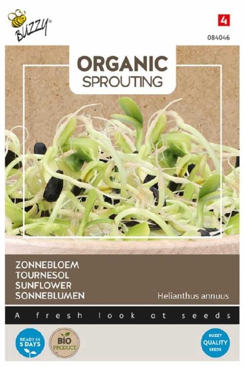 Buzzy® Organic Sprouting - Zonnebloem Buzzy® Organic Sprouting - Zonnebloem