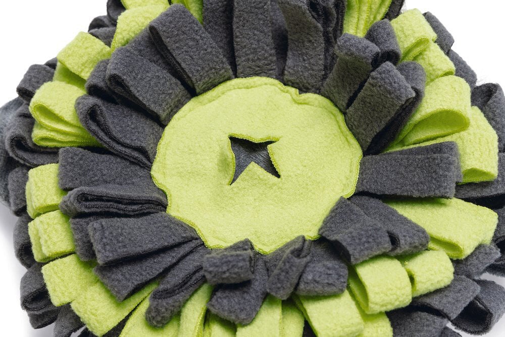 Beeztees Hide and Seek Koe - Snuffelmat - Hondenspeelgoed - Multi - 9x21.5x32 cm