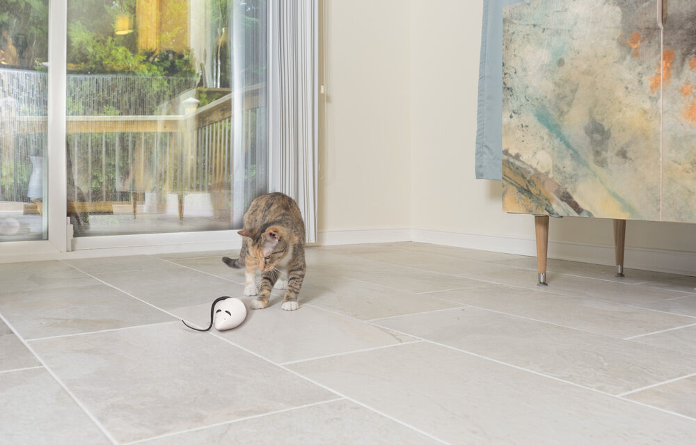 Petsafe Rolorat - Kattenspeeltje