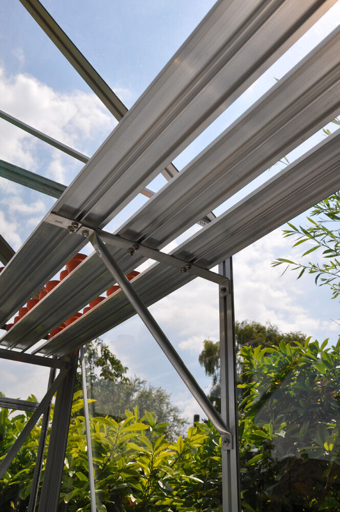 Royal Well Alu Sower - Kweekschap - L