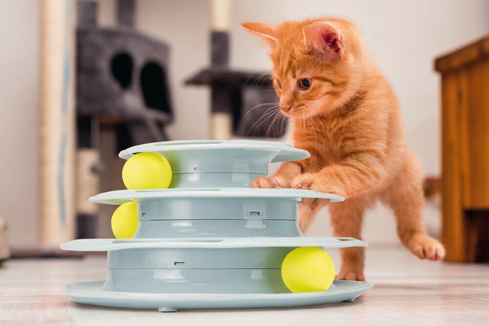 Beeztees Bo Speeltoren  Kitten - Kattenspeeltje - Groen
